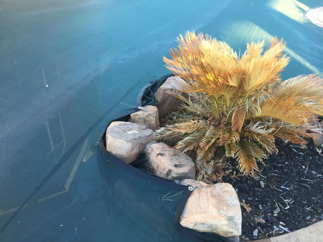 Pool Leaf Cover Around Rocks